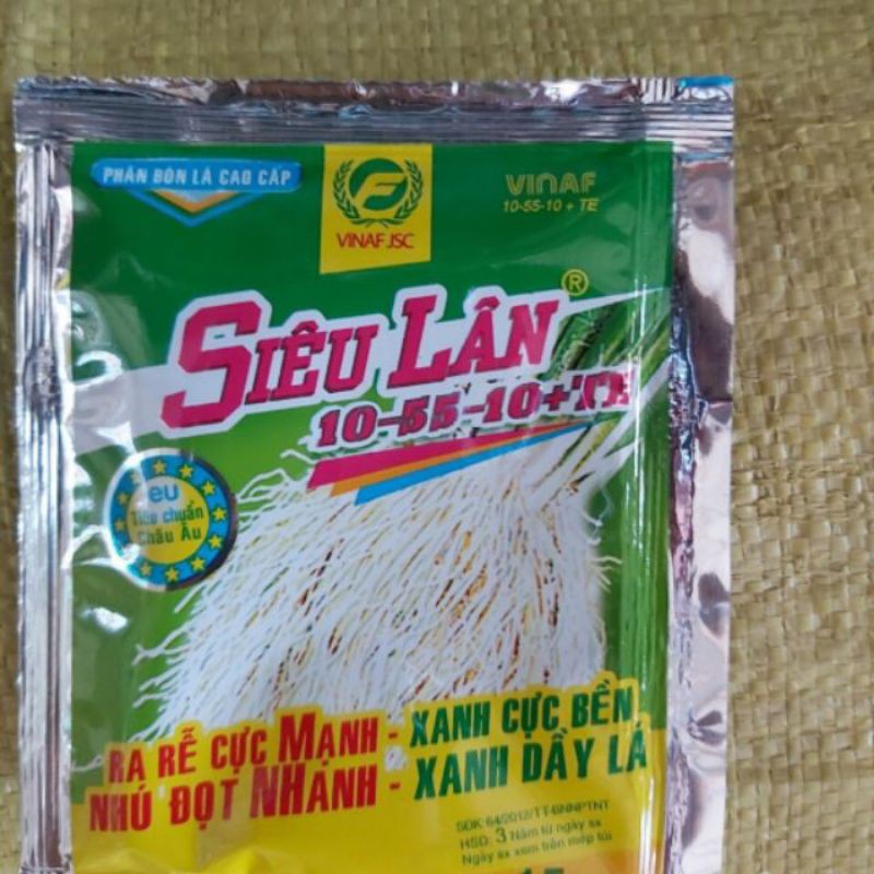 SIÊU LÂN XANH
