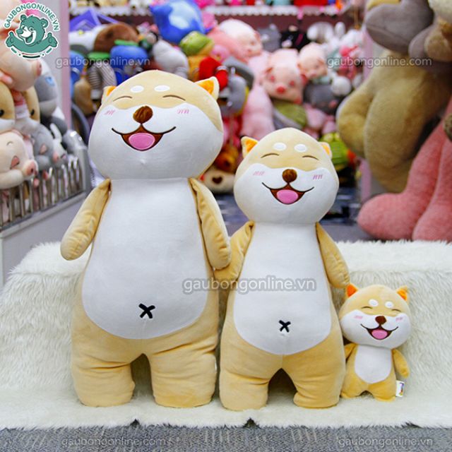 Chó bông Shiba vàng đáng yêu kích thước 25cm