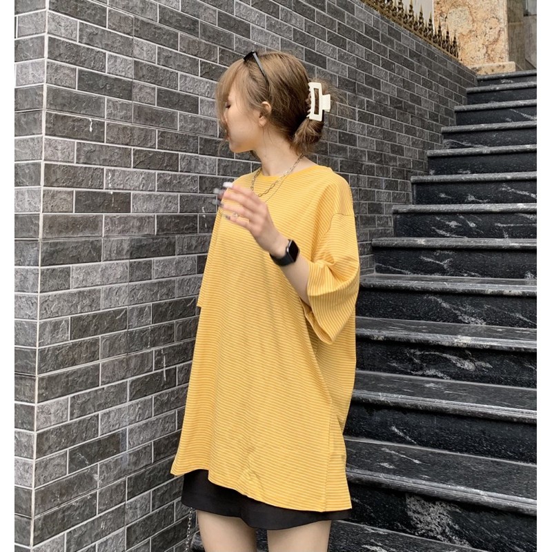 Áo pull kẻ