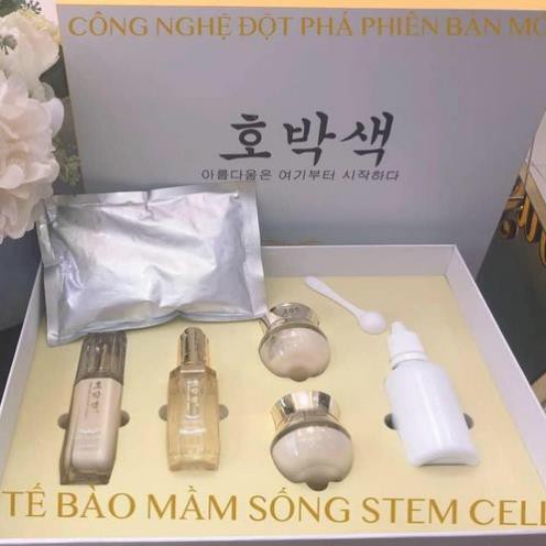 MẦM TÁI SINH PHÔI THAI giúp giảm tình trạng thâm, nám, vết chân chim chuyên dùng trong Spa