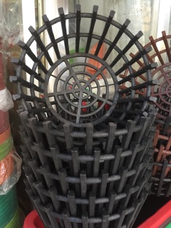 Bộ 5 chậu giả gỗ trồng lan phi 25cm