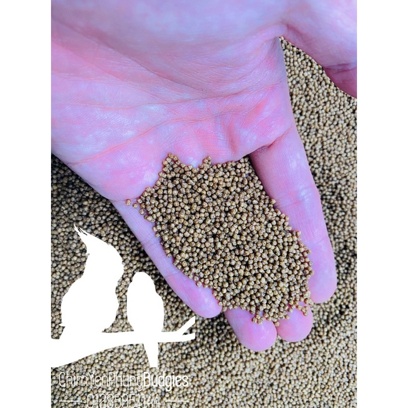 Nguyên bao 25kg cám cá CARGILL 7414 40% đạm cho cá ăn hoặc dùng câu cá,tra,điêu hồng,chép,rô phi