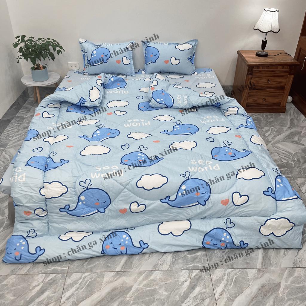 Bộ 5 món chăn phao ga gối poly cotton nhiều mẫu họa tiết