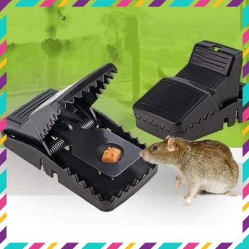 fdf ❌🐭❌🐭BẪY CHUỘT SIÊU DÍNH Kẹp bẫy chuột thông minh