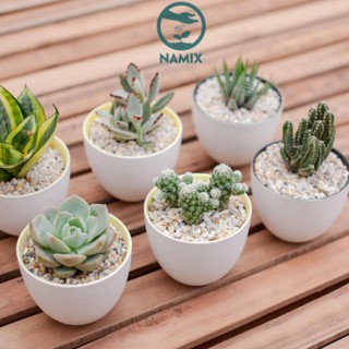 Đá Trân Châu Perlite NAMIX Túi 5dm3 (600 gram)