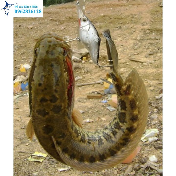 Máy câu ngang Cemreo chính hãng máy câu ngang xịn hàng hót y hình