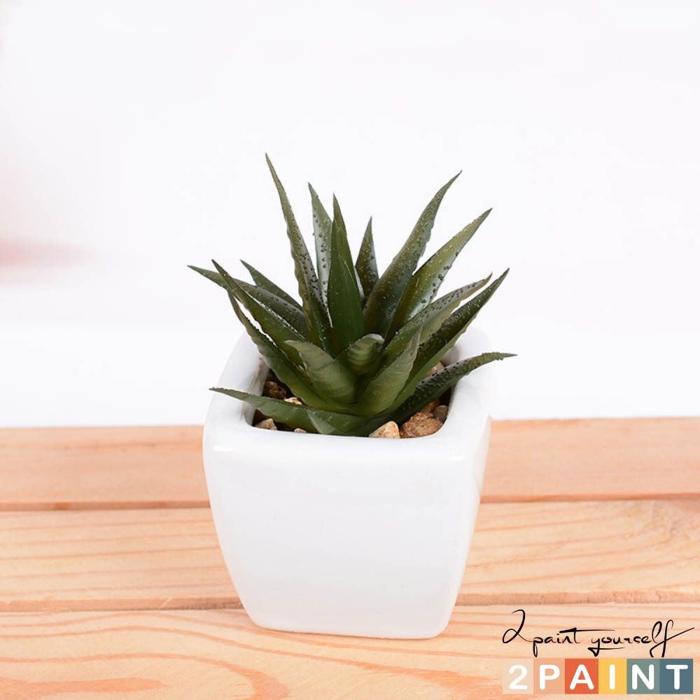 Sen đá mini kèm chậu trắng, cây giả decor phong cách Hàn Quốc