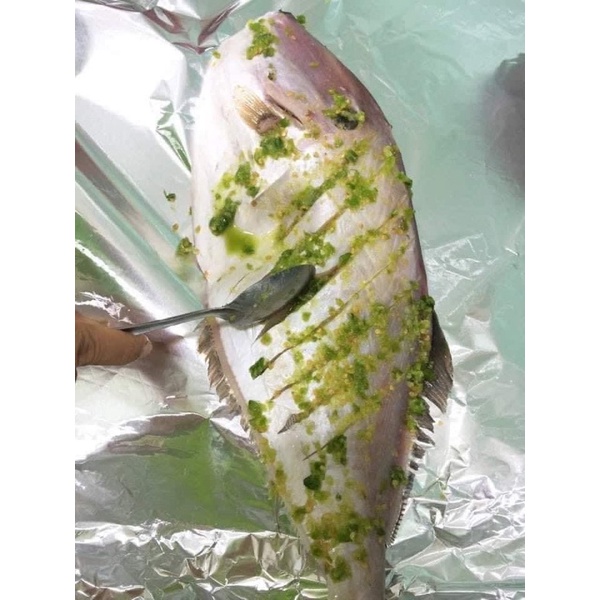 Cá Bò Da, cá biển tươi làm sạch