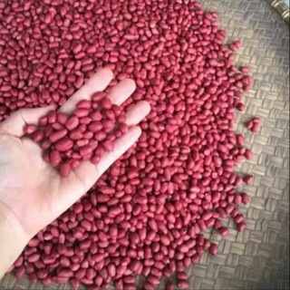 LẠC ĐỎ QUÊ LOẠI 1 (LẠC KẸ ĐỎ) 1KG