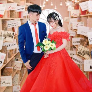 Váy cưới vi tính cao cấp
