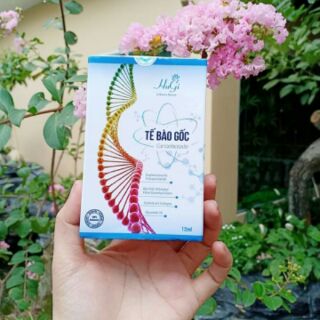 TẾ BÀO GỐC GINSENOSIDE HUGI