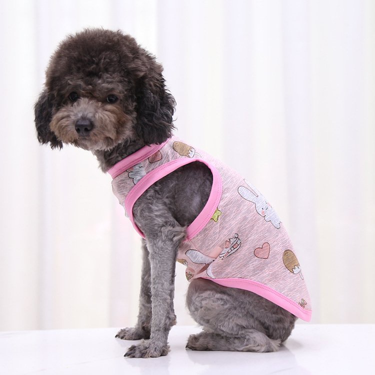 Quần áo thú cưng thời trang cho chó mèo mặc mùa hè chất thông hơi mát mẻ giá rẻ từ 1 đến 16kg CANDYPETS