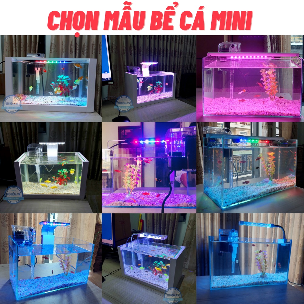 Bể cá mini COMBO HỒ LỌC ĐÈN đầy đủ phụ kiện