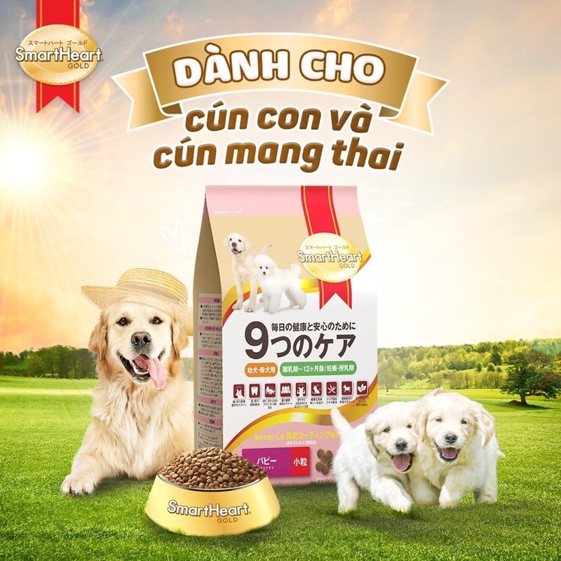 Thức ăn hạt cho chó giống nhỏ, chó con và chó mang thai Smart Heart Gold túi 1kg