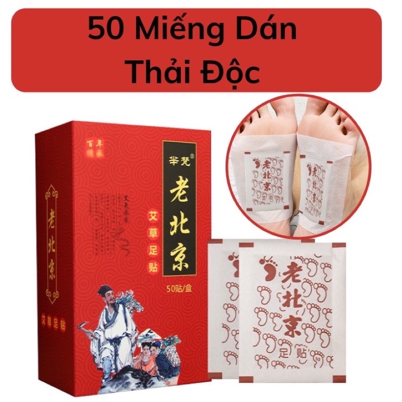 Dán Chân Thải Độc Ngải Cứu Lão Bắc Kinh 50 miếng