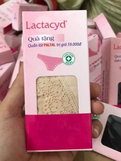 SET 5 QUẦN CHIP PANTAL CAO CẤP size M