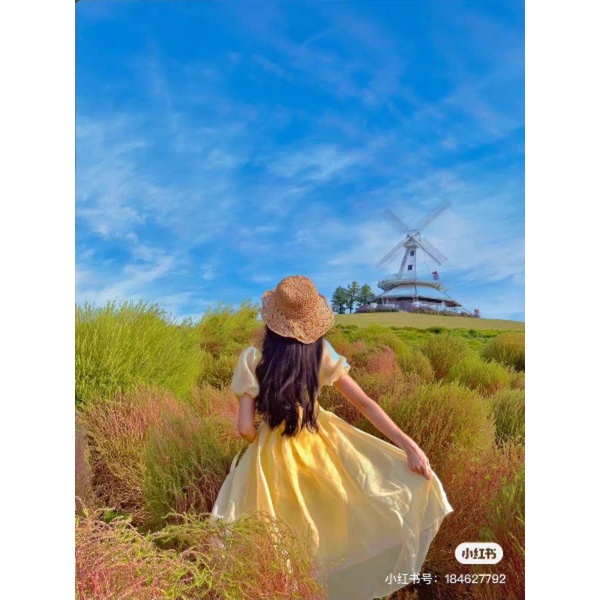 Đầm công chúa Belle cổ tích siêu xinh