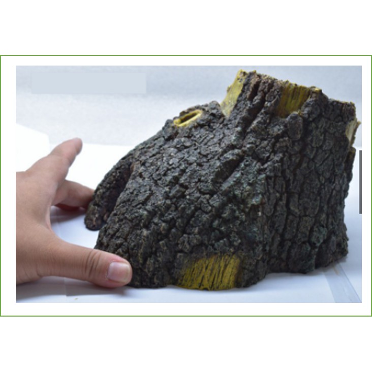 Gốc cây trang trí bể thuỷ sinh, hồ cá