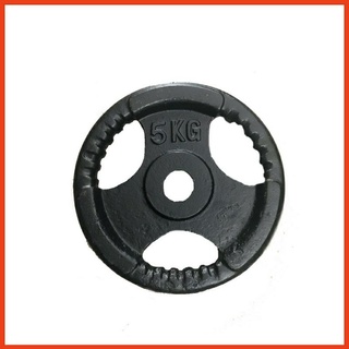 Tạ gang đĩa 5kg