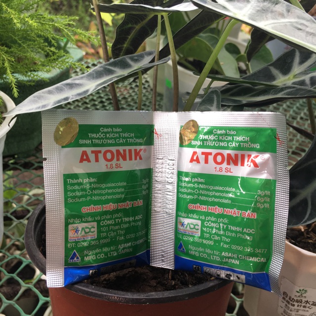 Atonik Phân bón lá, thuốc kích thích sinh trưởng cây trồng