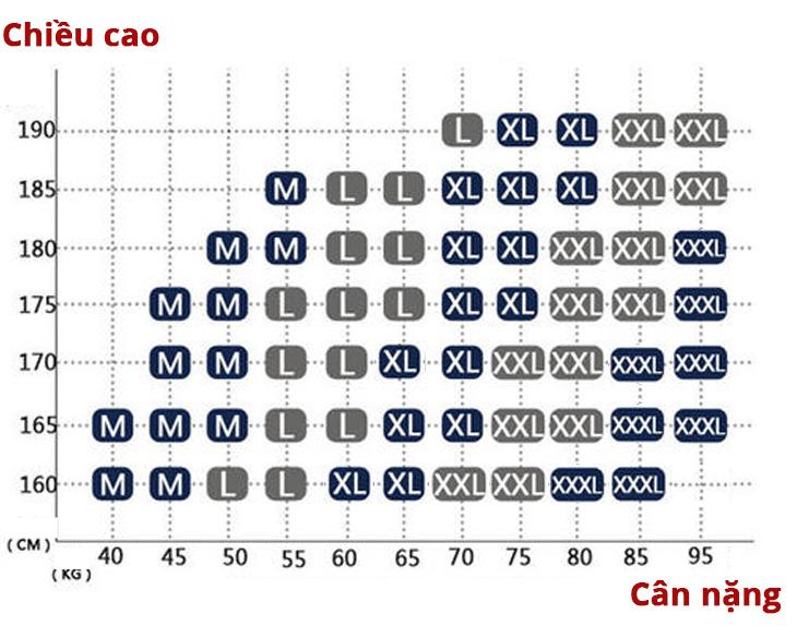 COMBO 10 Quần LÓT Nam - Nhiều Màu - Thun Lạnh Cao cấp ROMAN