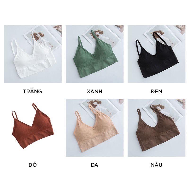 COMBO 3 Áo Bra Hở Lưng Chữ U Len Tăm Siêu Đẹp Freesize 38-63kg BR14