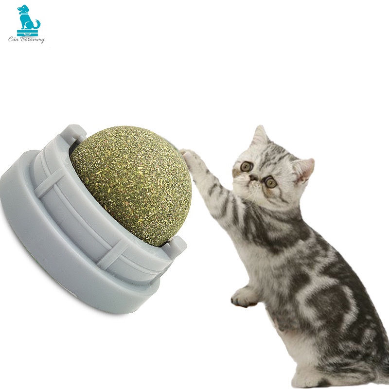 Viên Cỏ Bạc Hà Gắn Tường-Bóng Catnip gắn tường cho mèo liếm