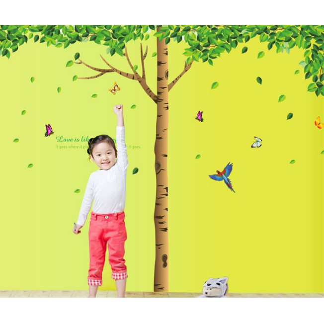 Decal trang trí Cây xanh size lớn ( 3 tấm )