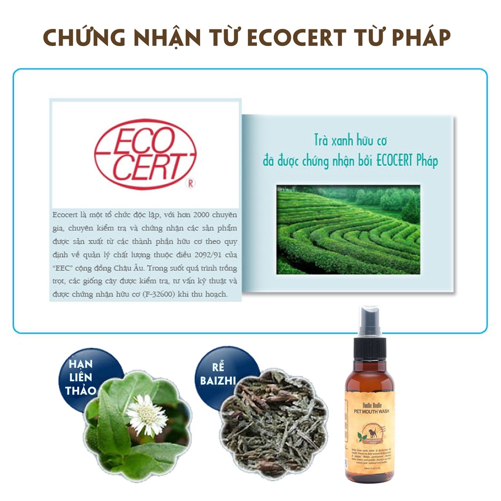 Xịt vệ sinh răng miệng cho chó Budle'Budle | 100% thiên nhiên | Ngừa sâu răng | Sạch vôi răng