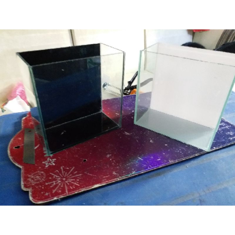 Combo 02 hồ show Guppy hoặc Betta