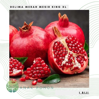 Hạt giống Lựu Pomegranate nhập KHẨU 15h