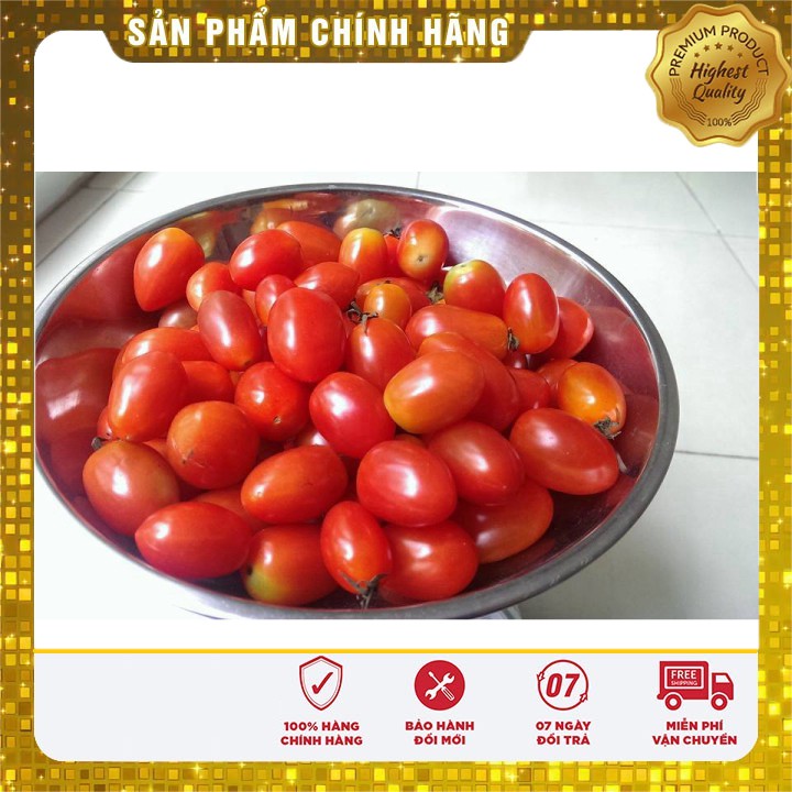 Hạt giống cà chua bi oval quả đỏ F1 - 30 hạt