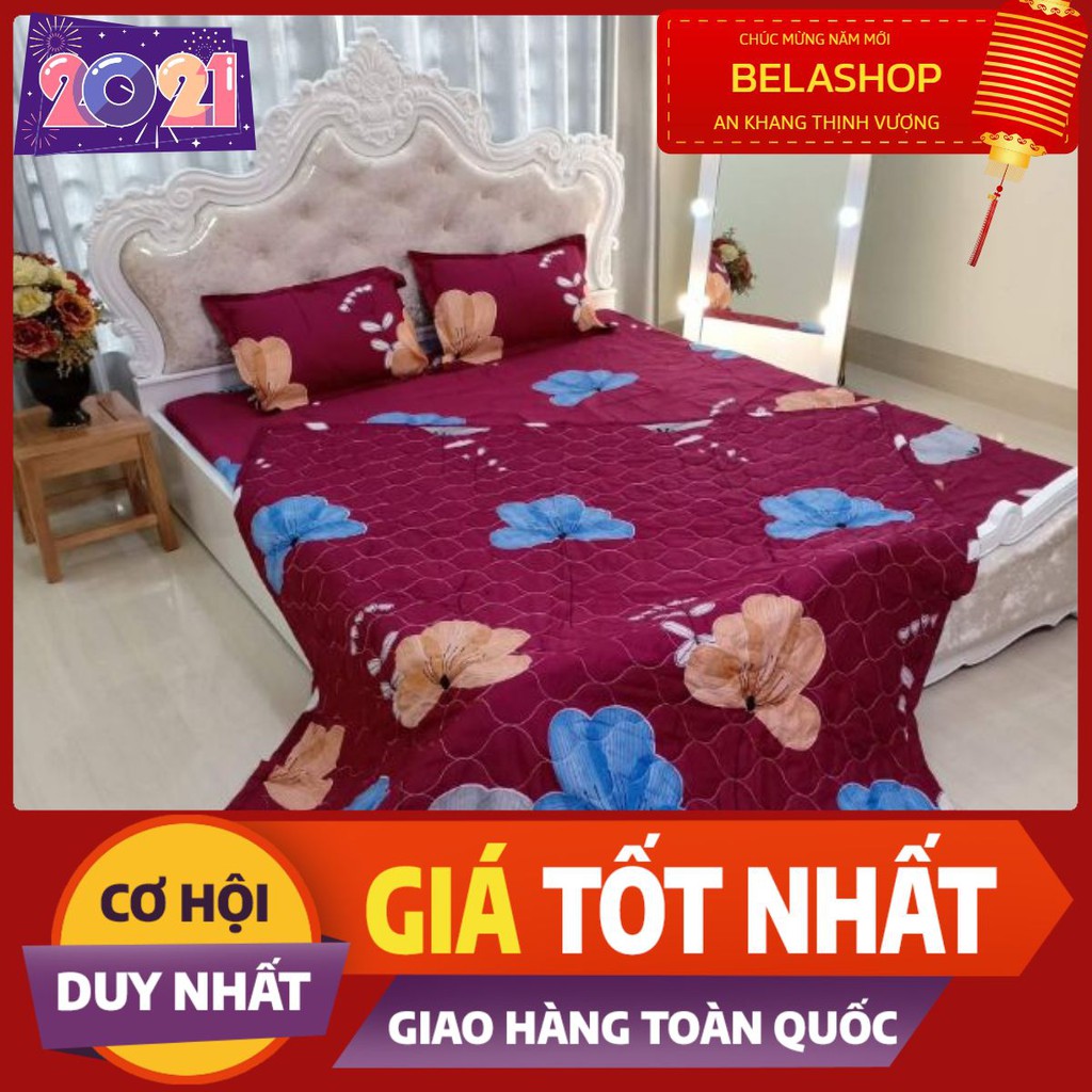 Bộ drap cotton 3 món 1m6 mẫu cỏ ba lá nền tím than cotton poly m8337