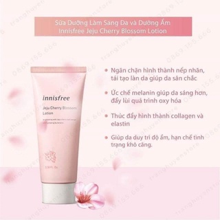 Set Dưỡng Innisfree Hoa Anh Đào