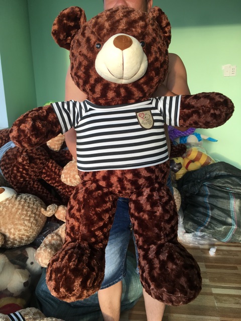 Gấu bông teddy khổ vải 1m chiều cao thực tế 80cm