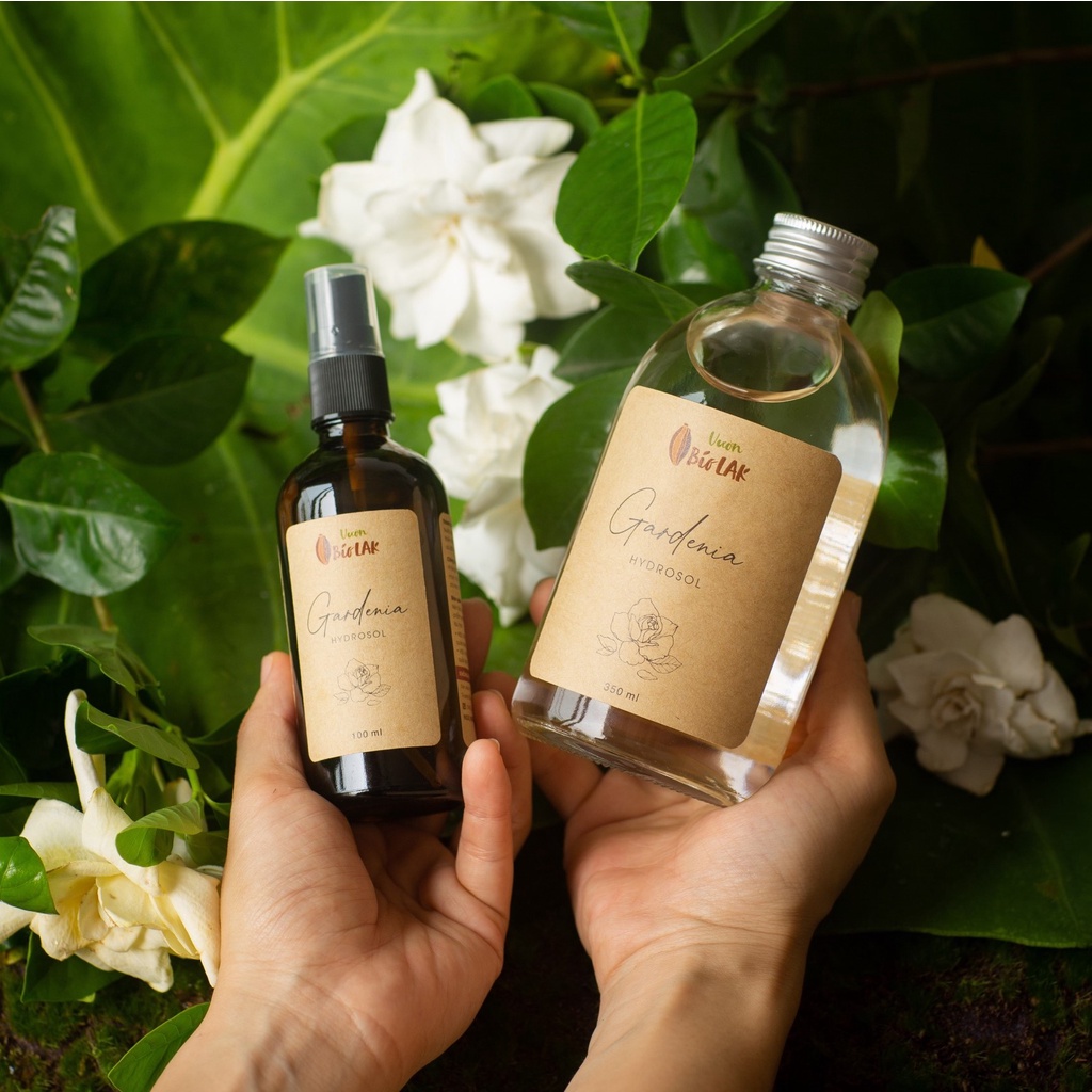 Hydrosol Gardenia – Nước cất sài đất nếp, bạch thiên hương | BigBuy360 - bigbuy360.vn