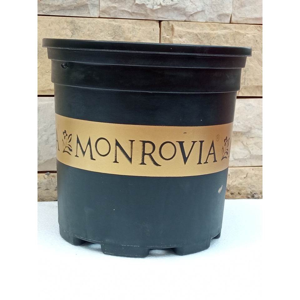 Chậu trồng hoa cây cây cảnh Monrovia 1.5Gal màu đen trồng cây văn phòng để bàn