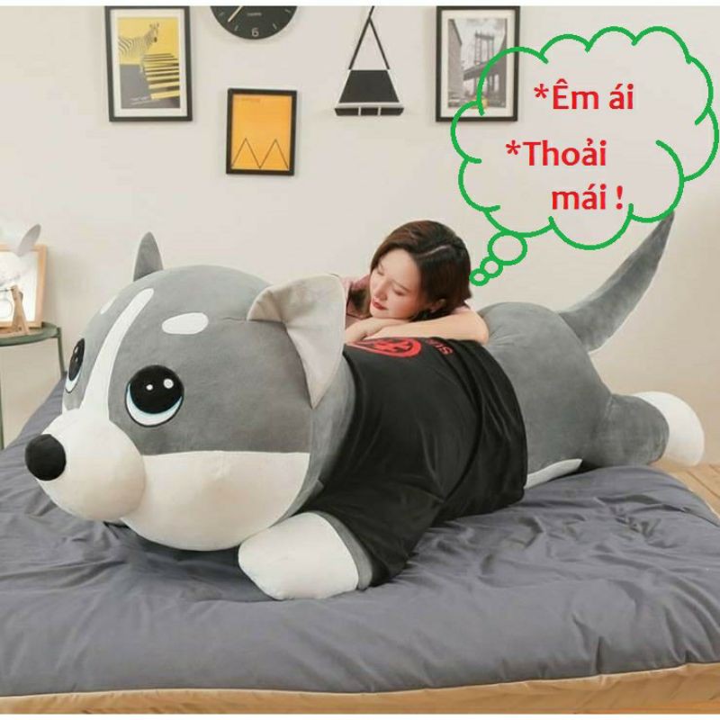 Mèo alaska - Chó Husky khổ 1M2 - 1M6