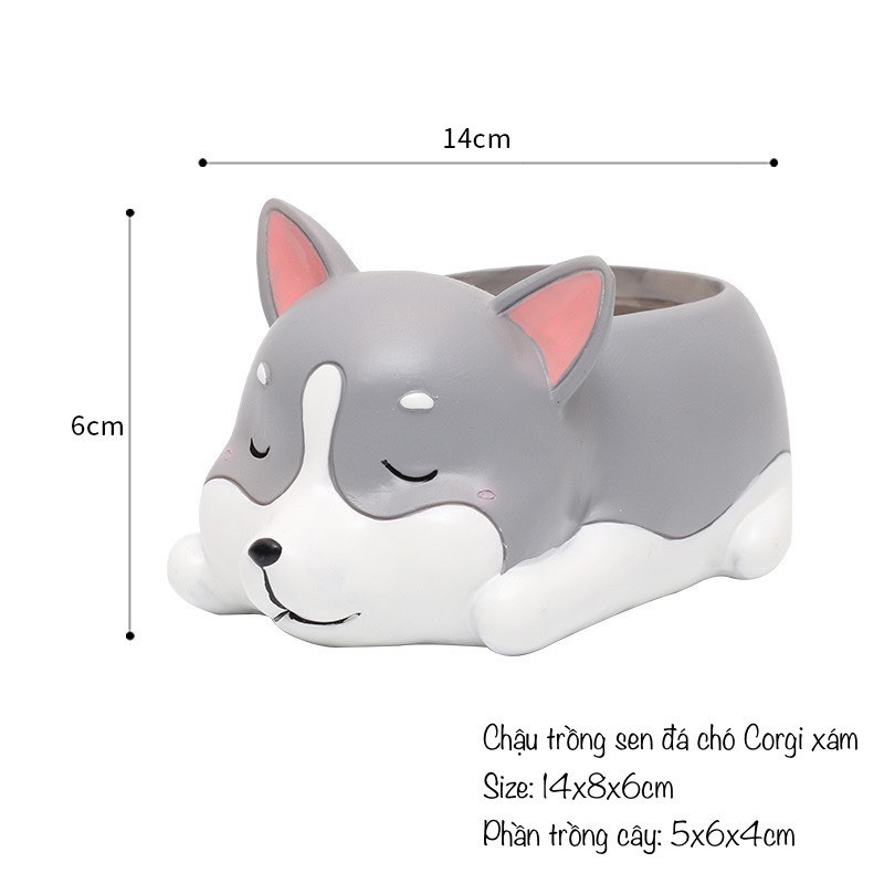 Chậu composite mini Corgi dễ thương trồng sen đá/xương rồng