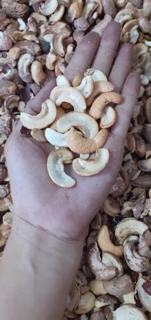 Điều vỡ rang muối Bình Phước
