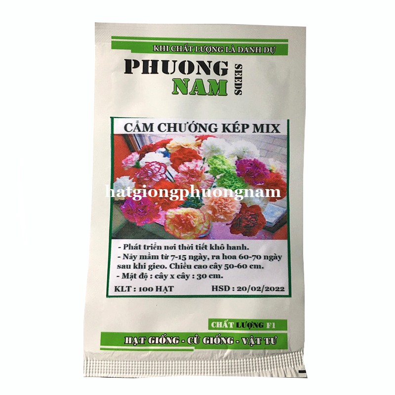 100H - HẠT GIỐNG HOA CẨM CHƯỚNG KÉP MIX