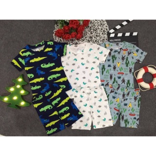 Combo 3 bo đồ carter cho be mặc hè thấm hut mồ hôi                                                                      