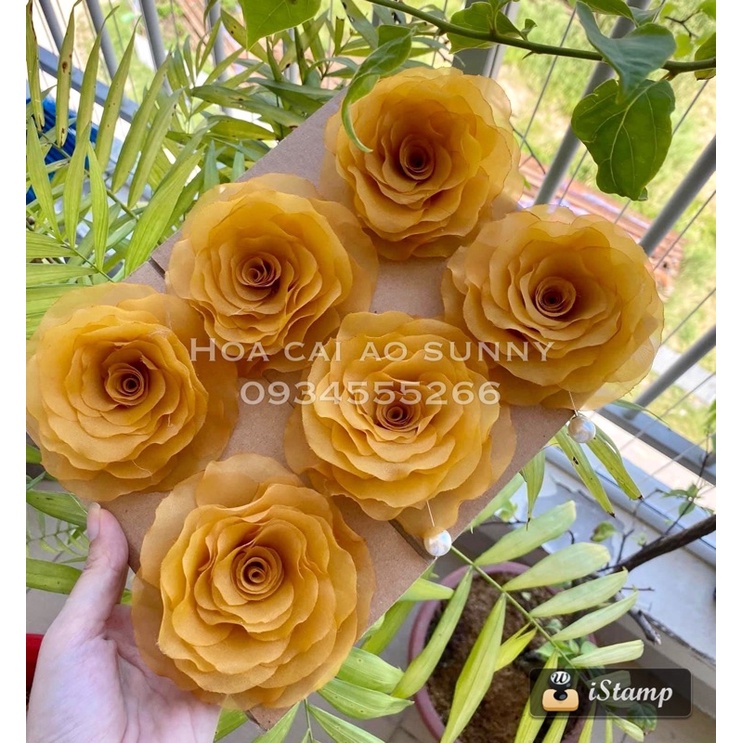 Hoa cài áo - Hoa hồng cài áo cánh đốt tự nhiên