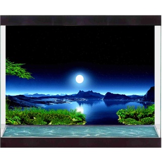 Decal Dán Hồ Cá - Hồ Thủy Sinh - Decal Sài Gòn