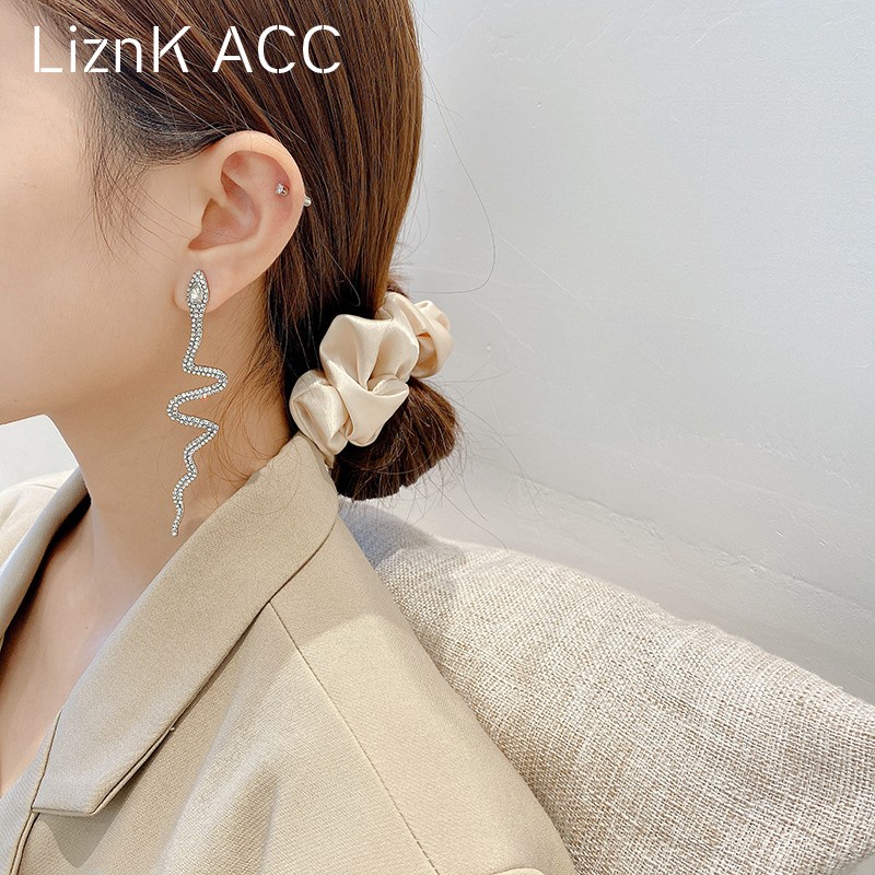 Khuyên Tai Dáng Dài Hình Rắn Phong Cách Punk Hàn Quốc 2022 Cho Nữ