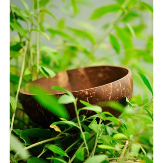 BÁT GÁO DỪA TỰ NHIÊN