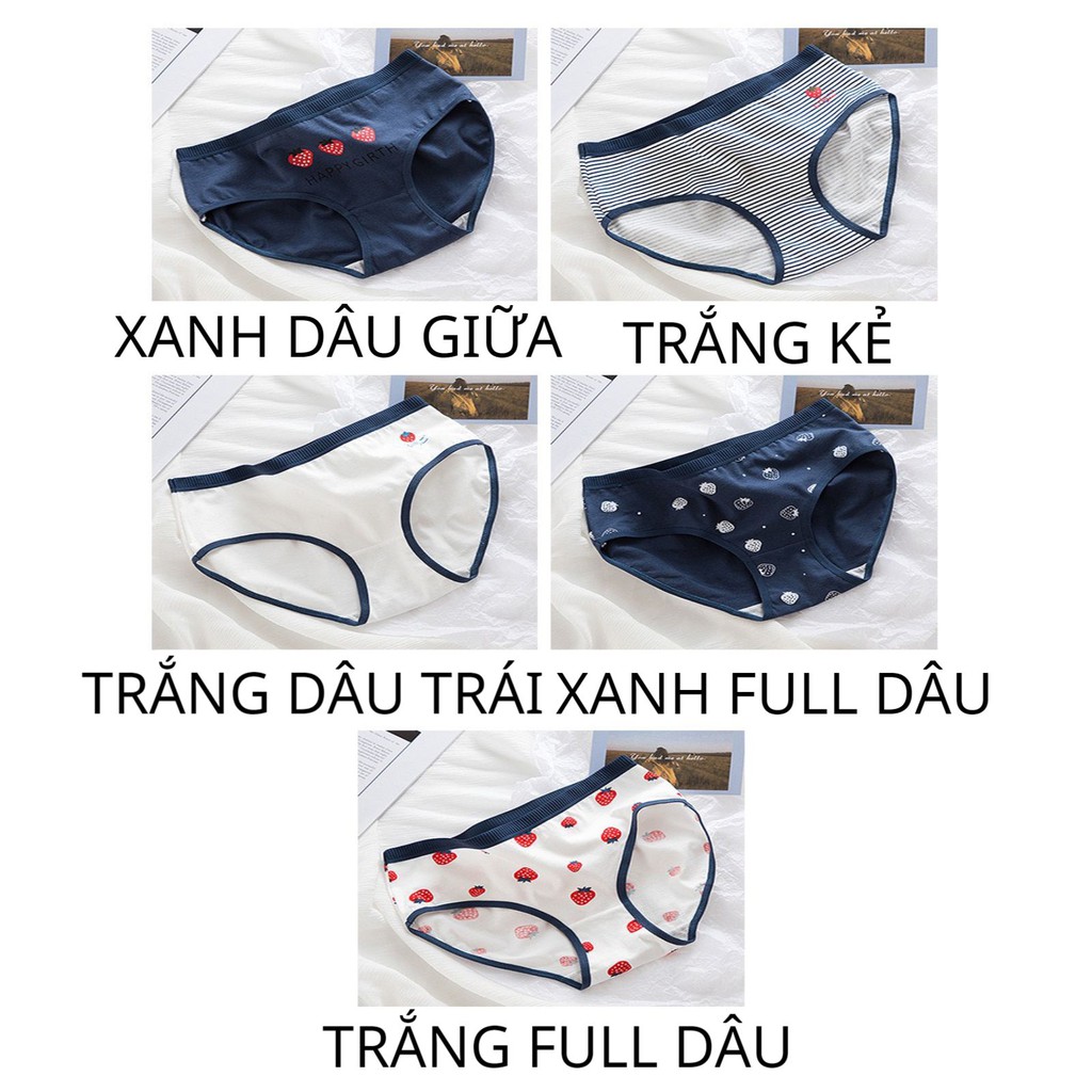 Quần Lót Nữ Cotton ❤️FREESHIP❤️ Quần Lót Nữ kháng khuẩn mỏng mát- Quần Lót Nữ dễ thương cạp không tạo hằn  Mã 8021 | BigBuy360 - bigbuy360.vn