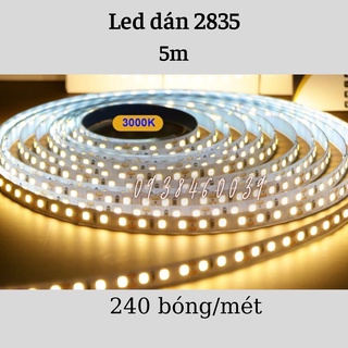 Led dán 5m 2835 240 led/mét
