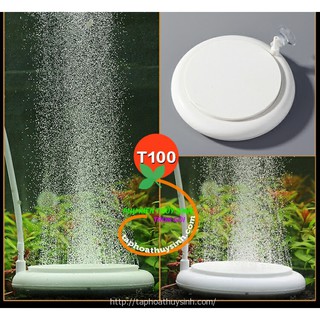Sủi dĩa oxy siêu mịn T100