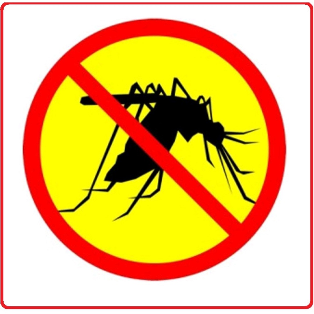 Combo 2 Bình xịt côn trùng King STar chai 600ml